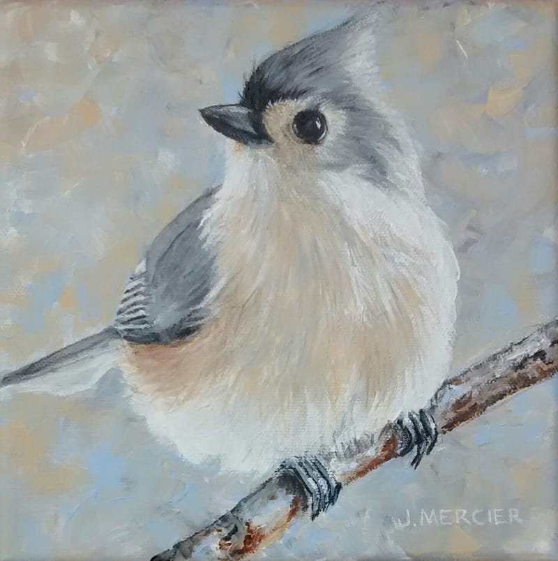 Dogs, cats and other precious animals