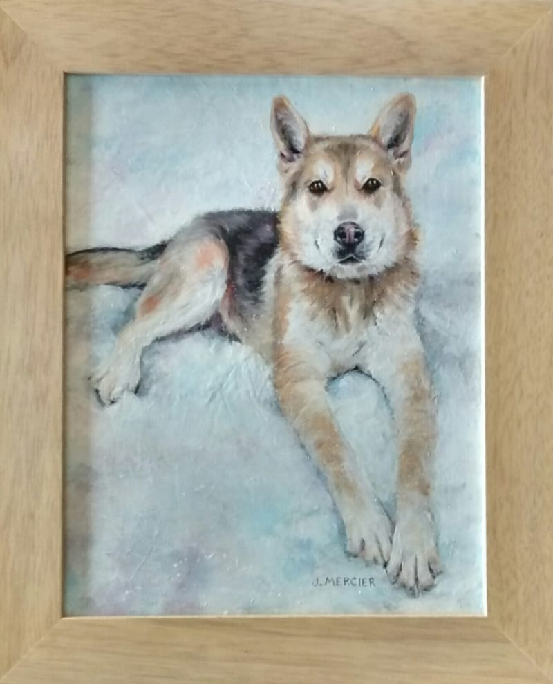 Dogs, cats and other precious animals