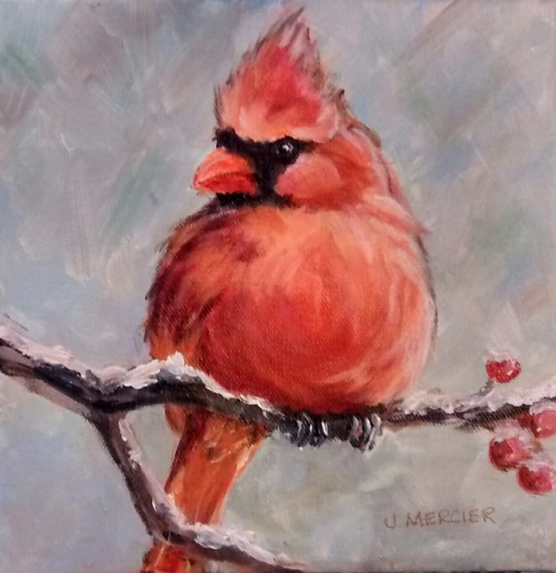 Dogs, cats and other precious animals