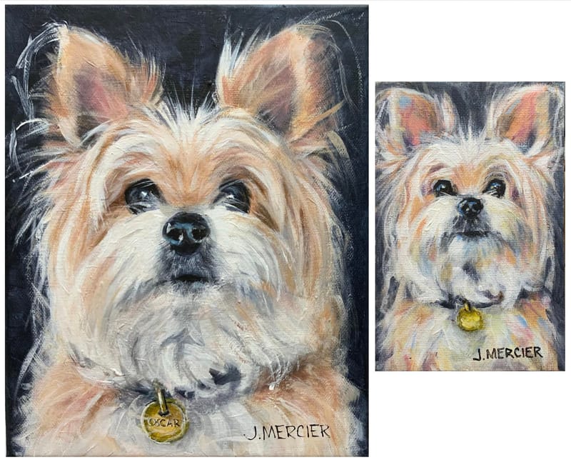 Dogs, cats and other precious animals