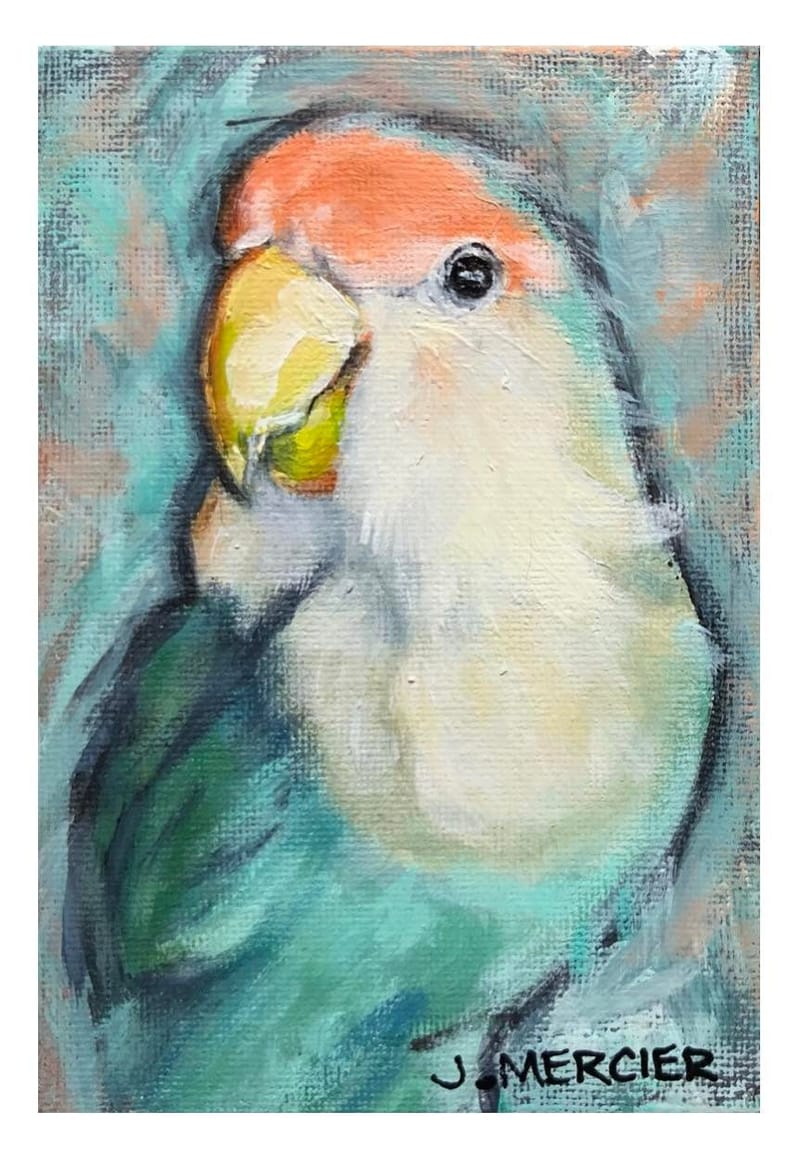 Dogs, cats and other precious animals