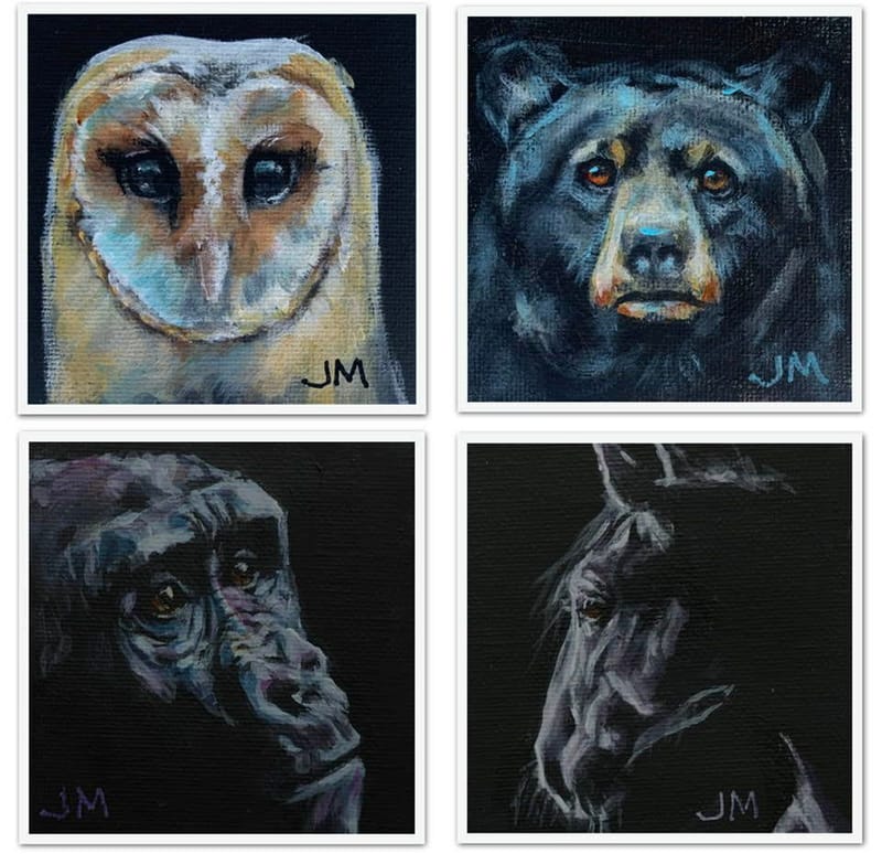 Dogs, cats and other precious animals