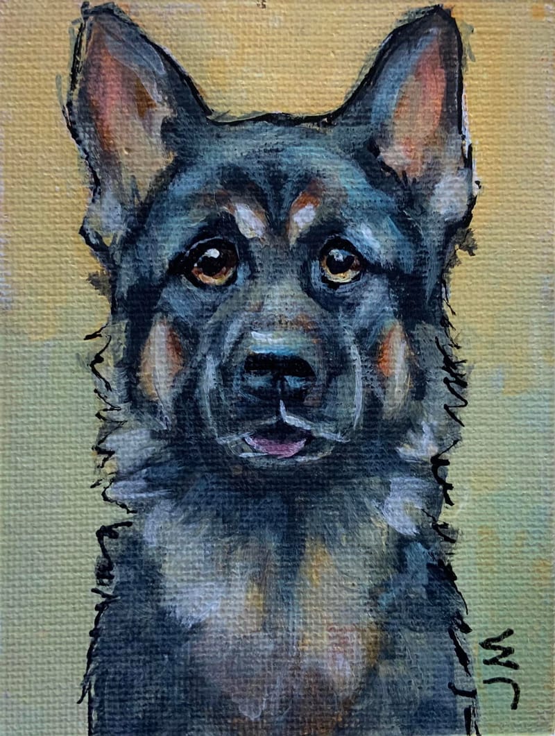 Dogs, cats and other precious animals