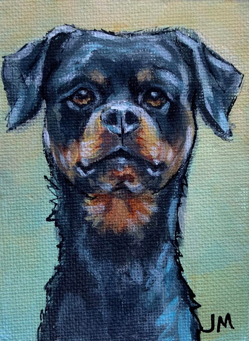 Dogs, cats and other precious animals