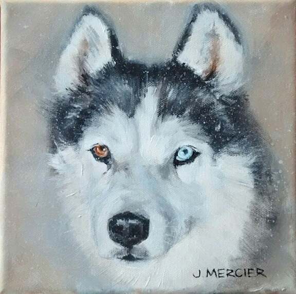 Dogs, cats and other precious animals