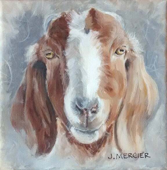 Dogs, cats and other precious animals