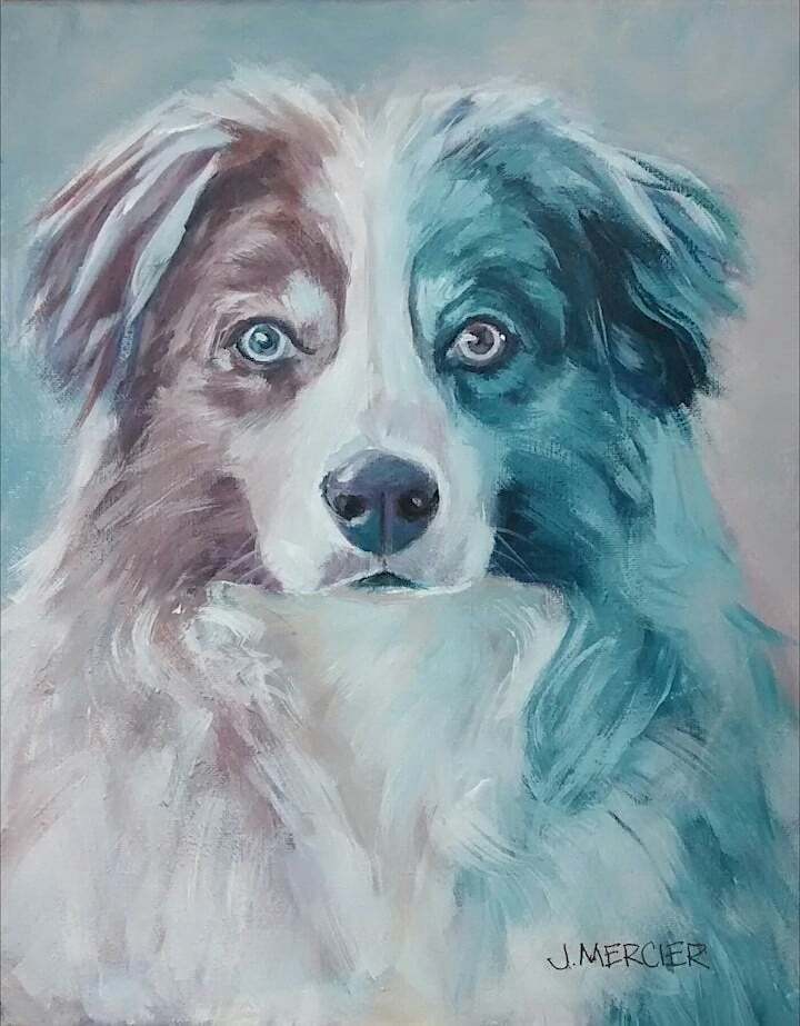 Dogs, cats and other precious animals