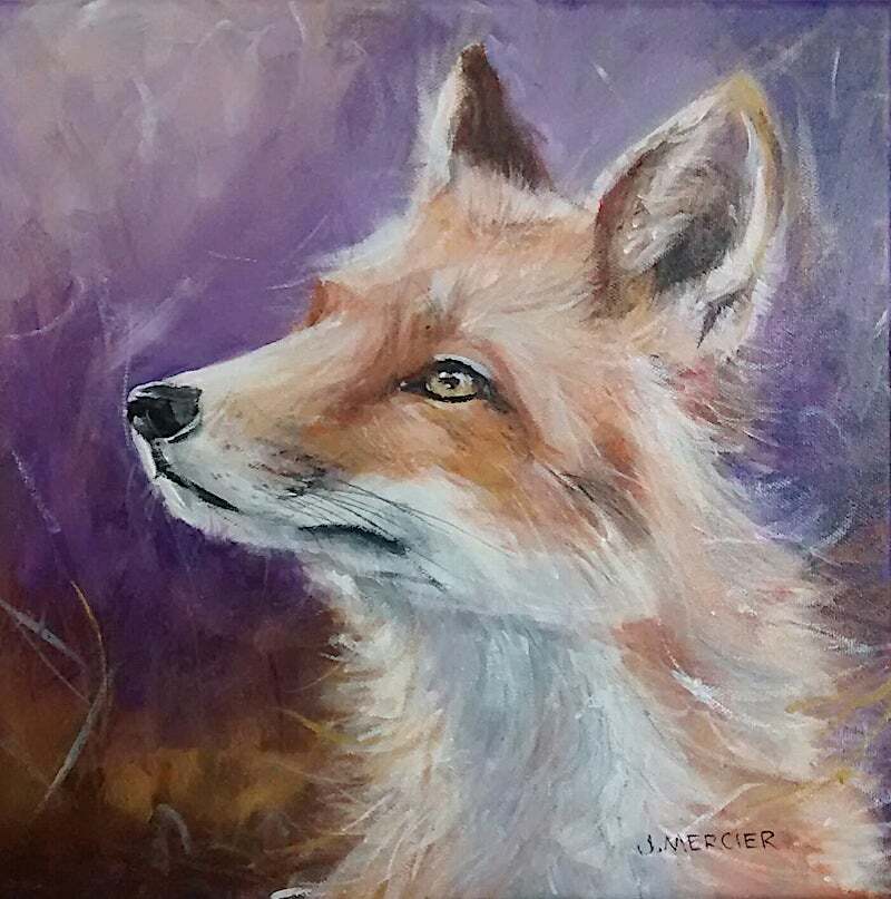 Dogs, cats and other precious animals