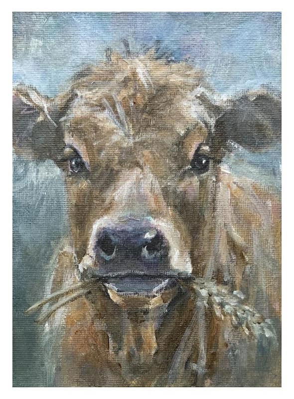 Dogs, cats and other precious animals