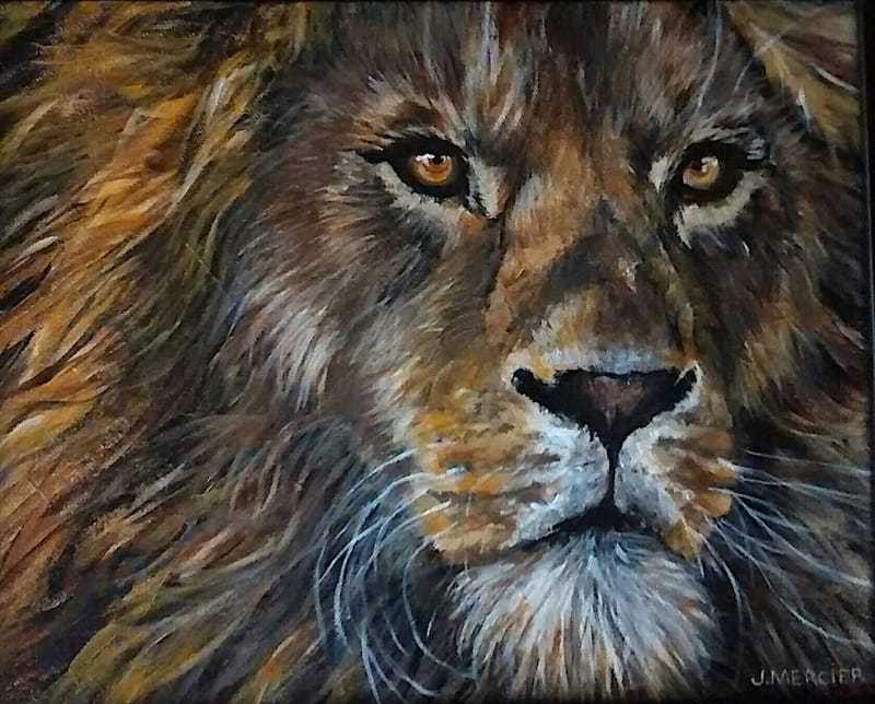 Dogs, cats and other precious animals