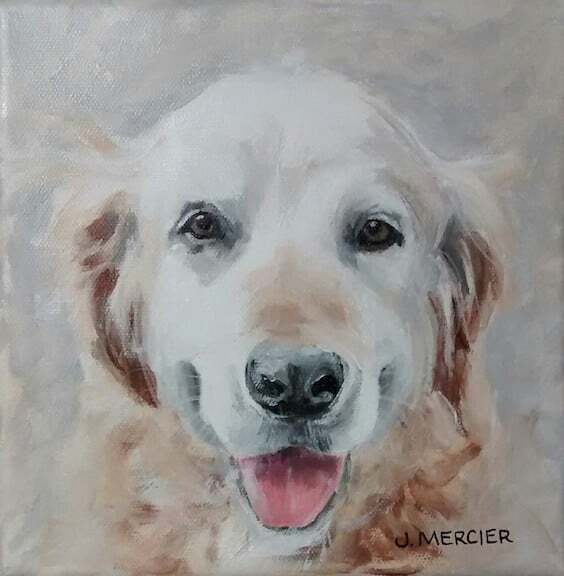 Dogs, cats and other precious animals