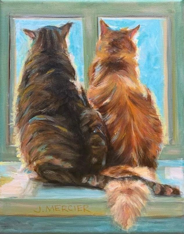 Dogs, cats and other precious animals