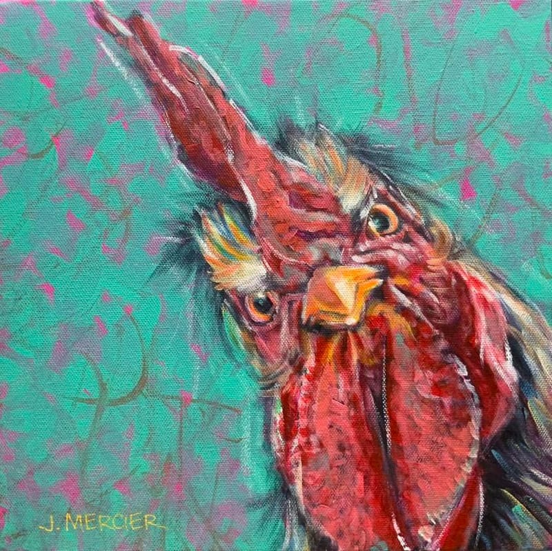 Dogs, cats and other precious animals