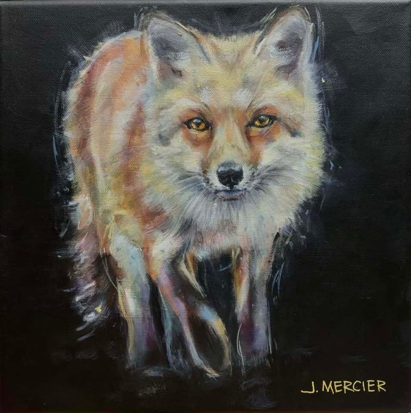 Dogs, cats and other precious animals