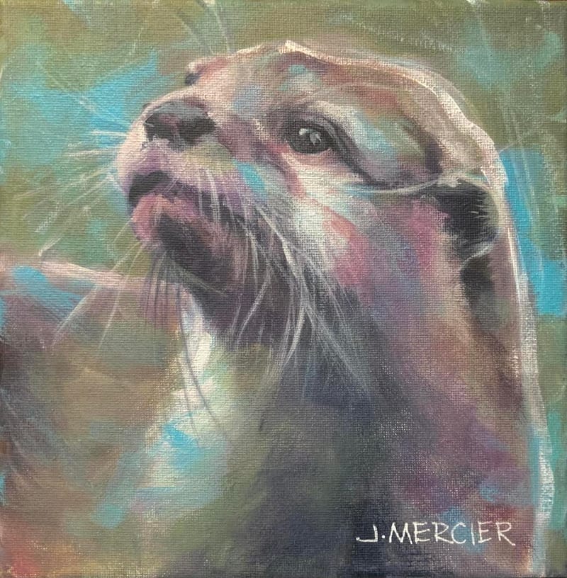 Dogs, cats and other precious animals