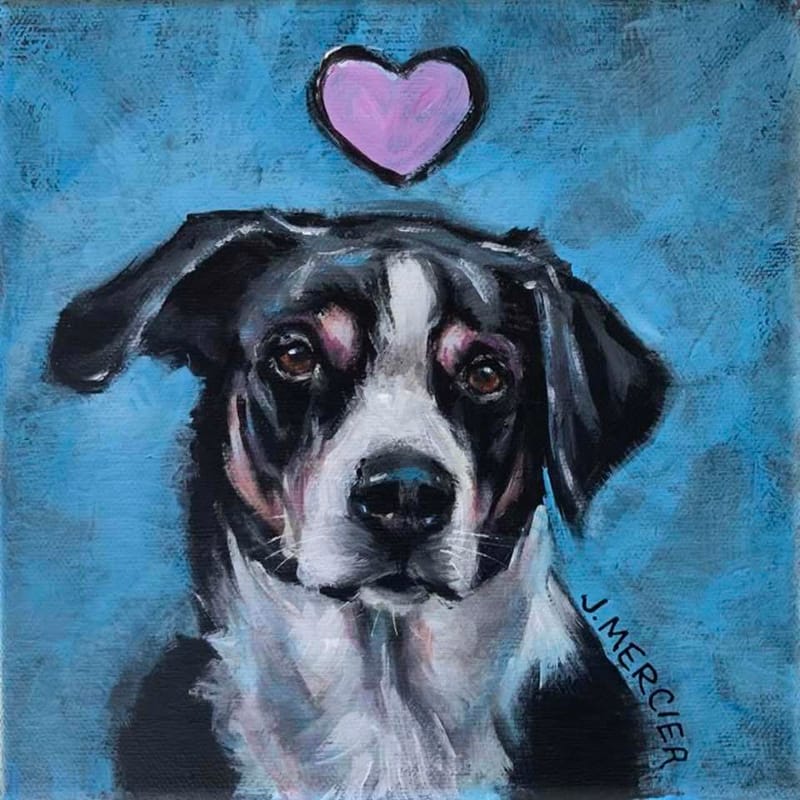 Dogs, cats and other precious animals