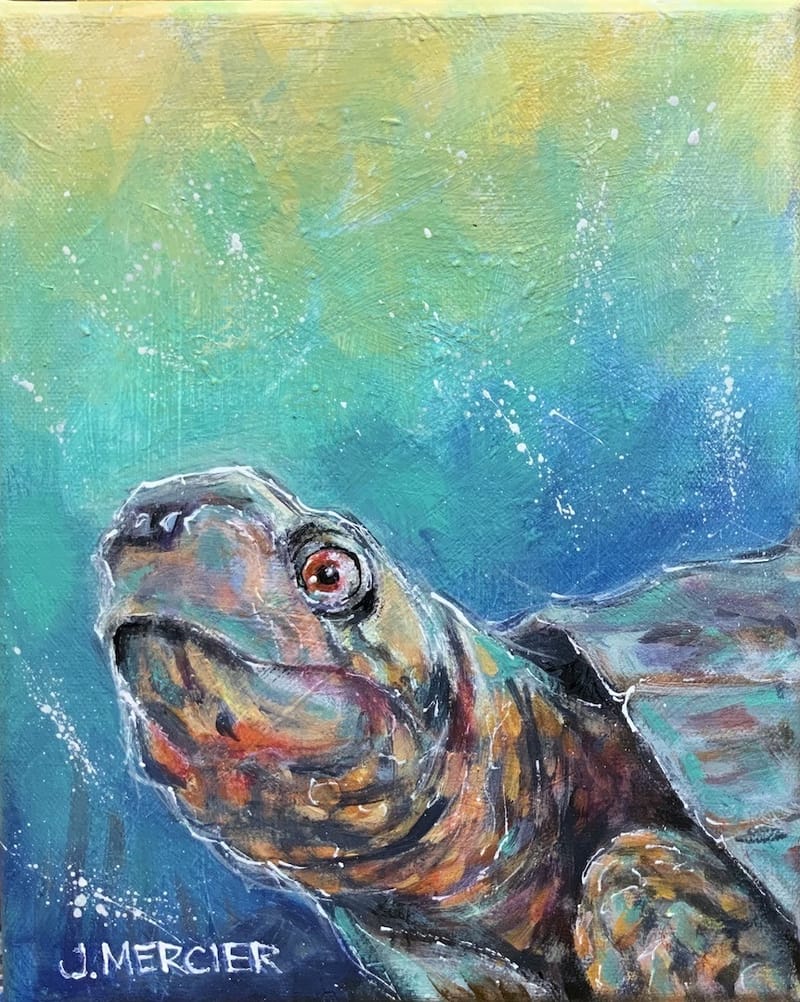 Dogs, cats and other precious animals