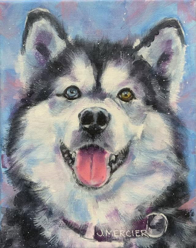 Dogs, cats and other precious animals