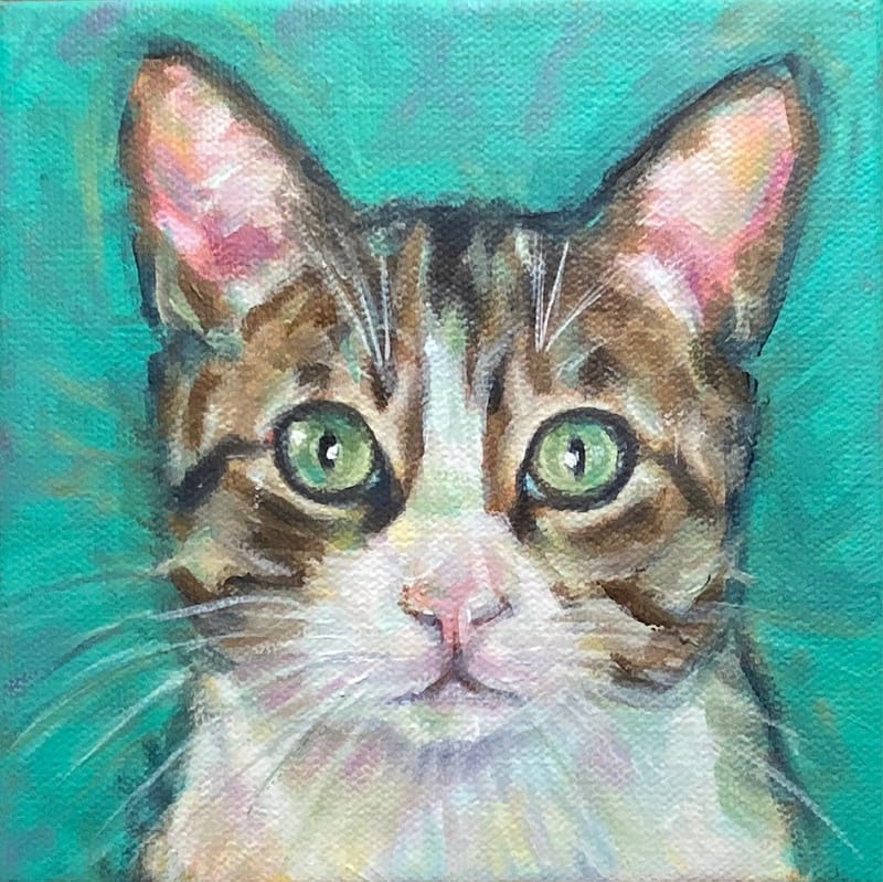 Dogs, cats and other precious animals