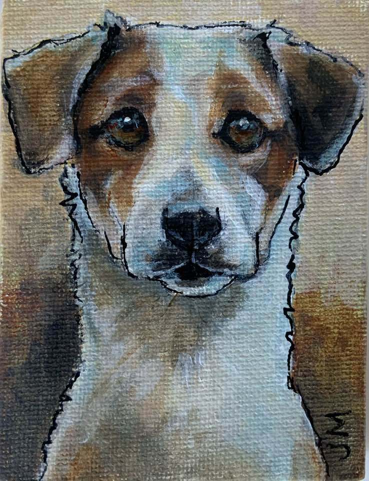 Dogs, cats and other precious animals