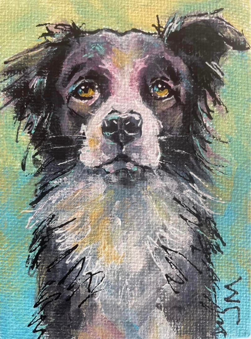 Dogs, cats and other precious animals