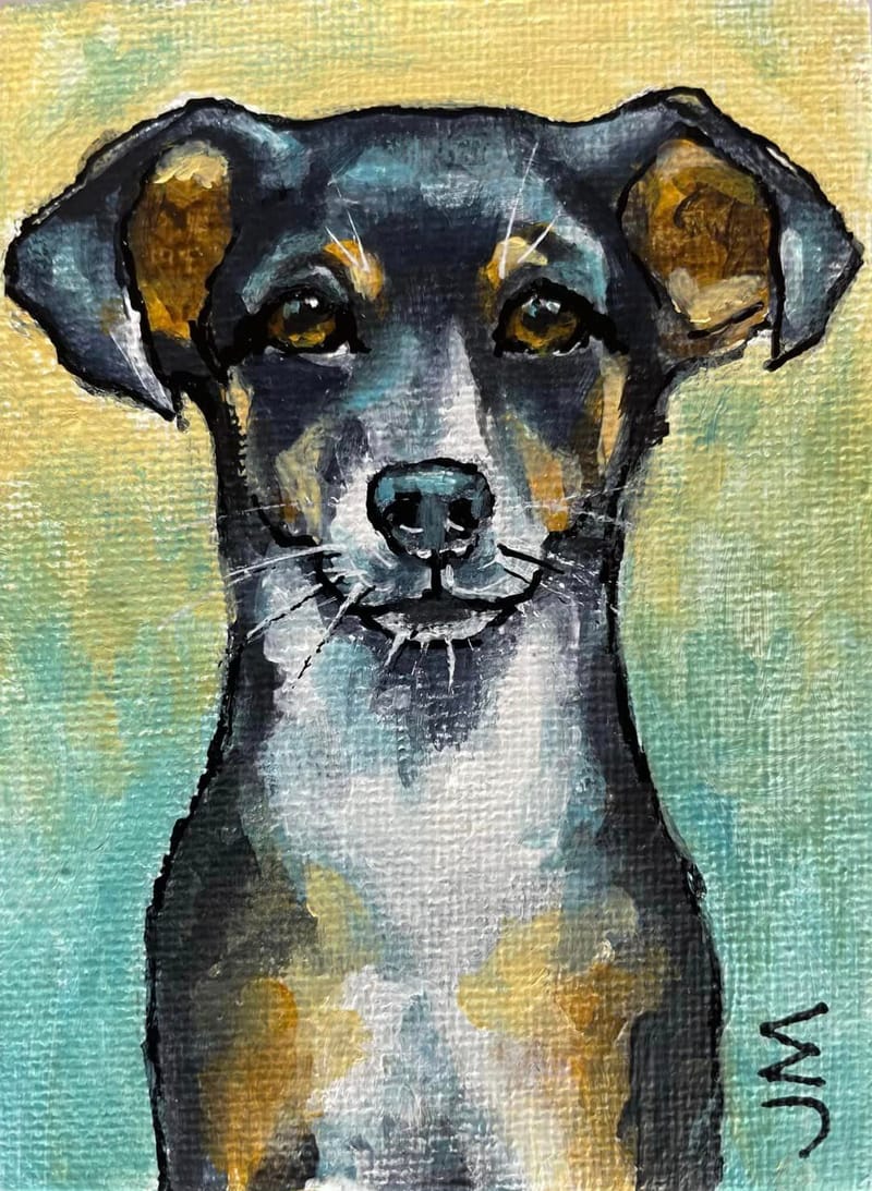 Dogs, cats and other precious animals