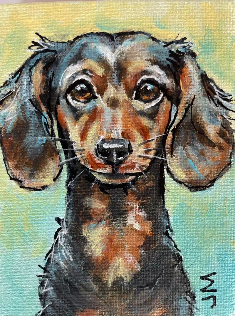 Dogs, cats and other precious animals