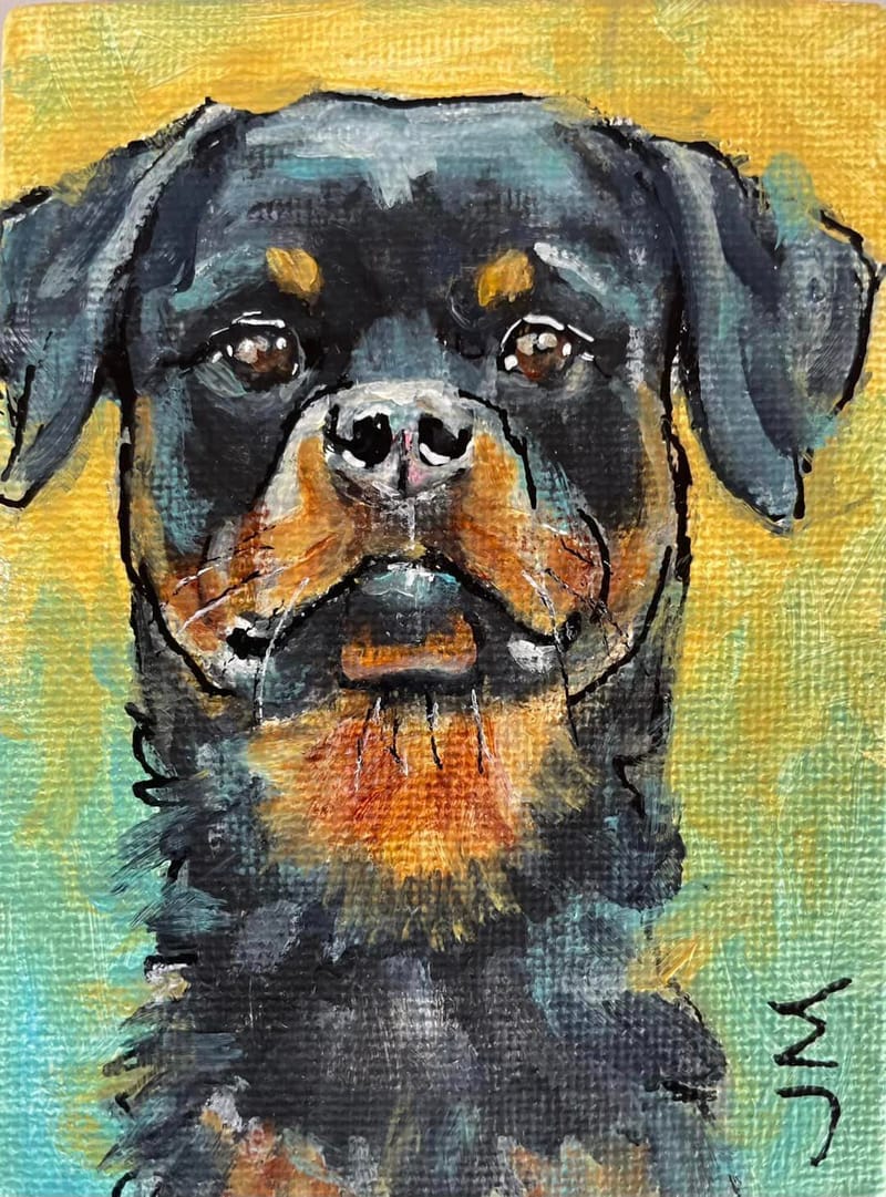 Dogs, cats and other precious animals