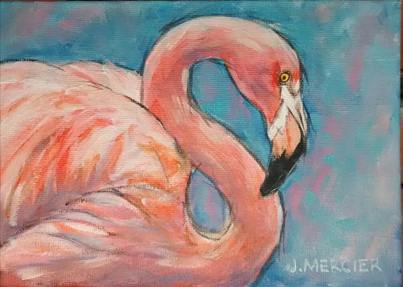 Dogs, cats and other precious animals