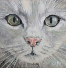 Dogs, cats and other precious animals