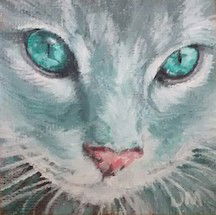 Dogs, cats and other precious animals