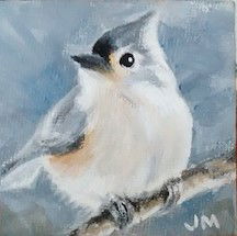 Dogs, cats and other precious animals