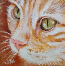 Dogs, cats and other precious animals