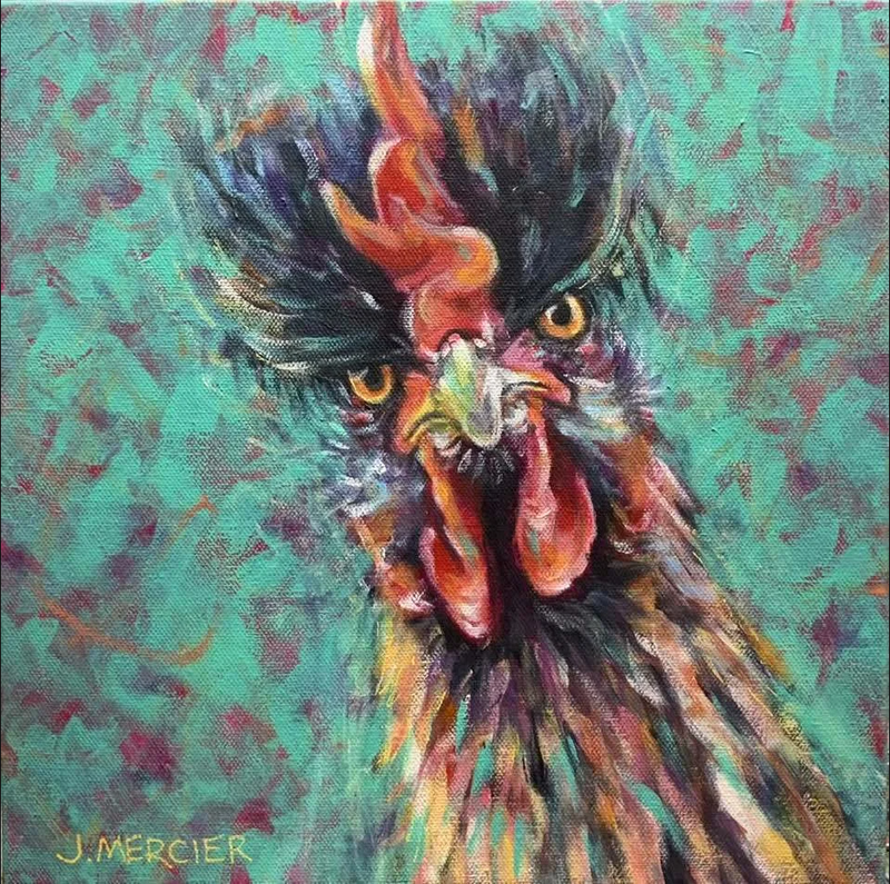 Dogs, cats and other precious animals