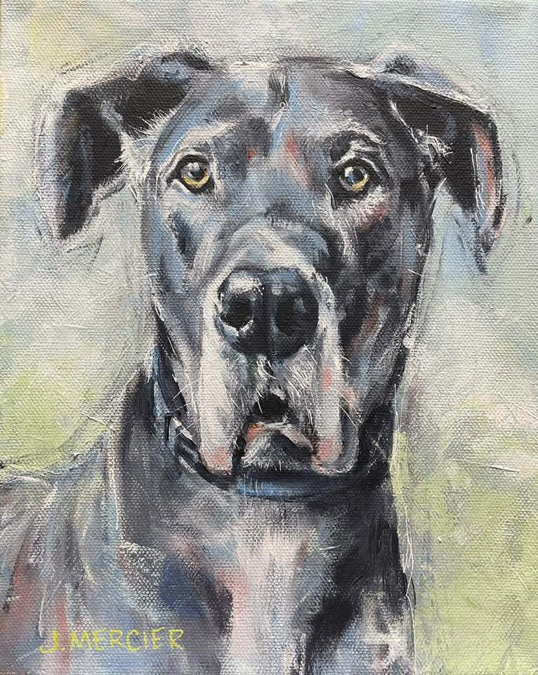 Dogs, cats and other precious animals