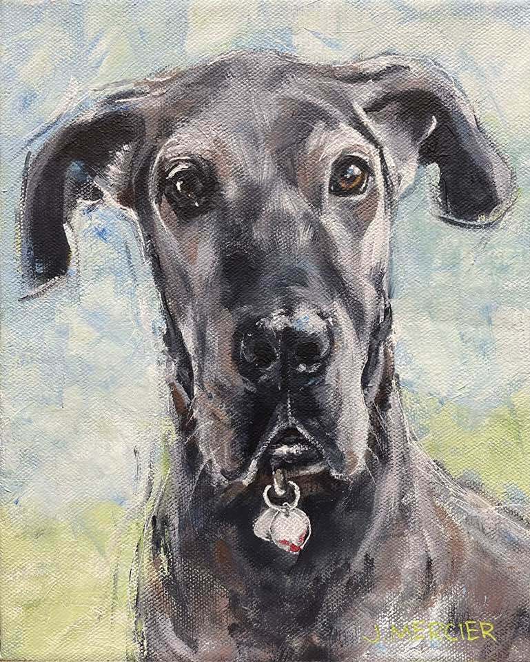 Dogs, cats and other precious animals