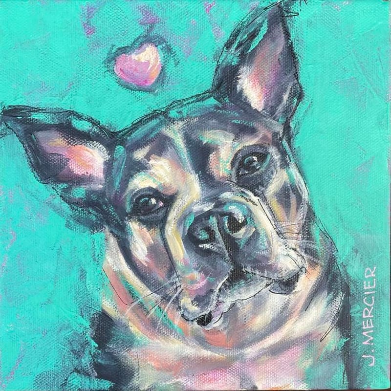 Dogs, cats and other precious animals