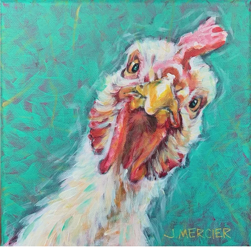 Dogs, cats and other precious animals