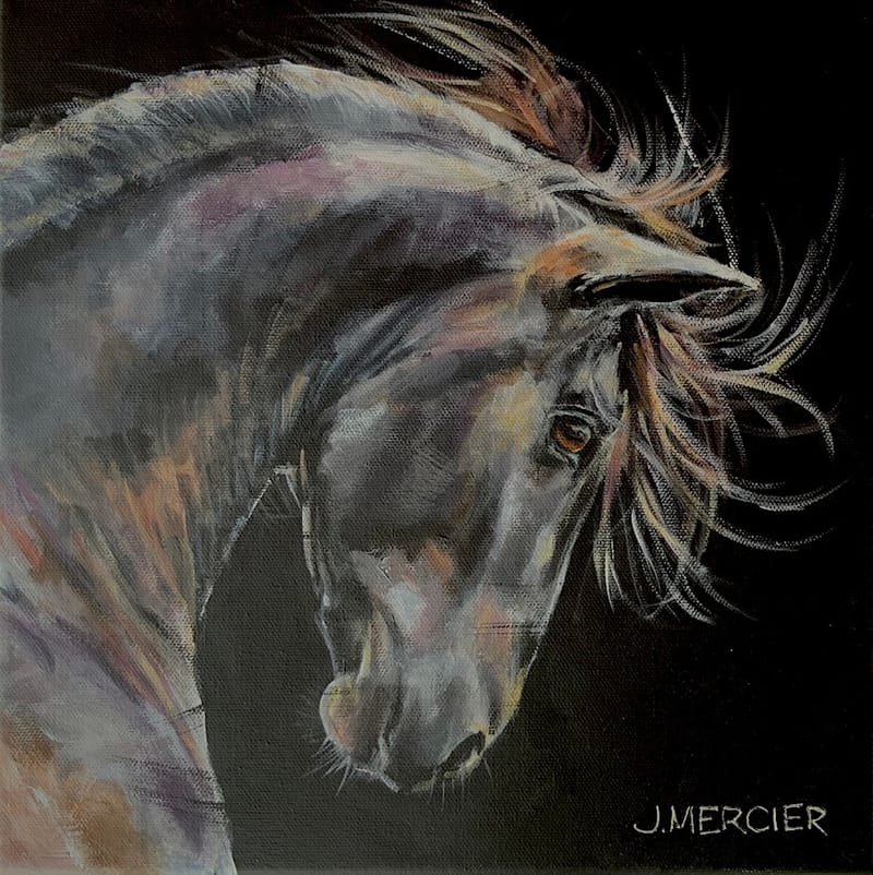 Dogs, cats and other precious animals