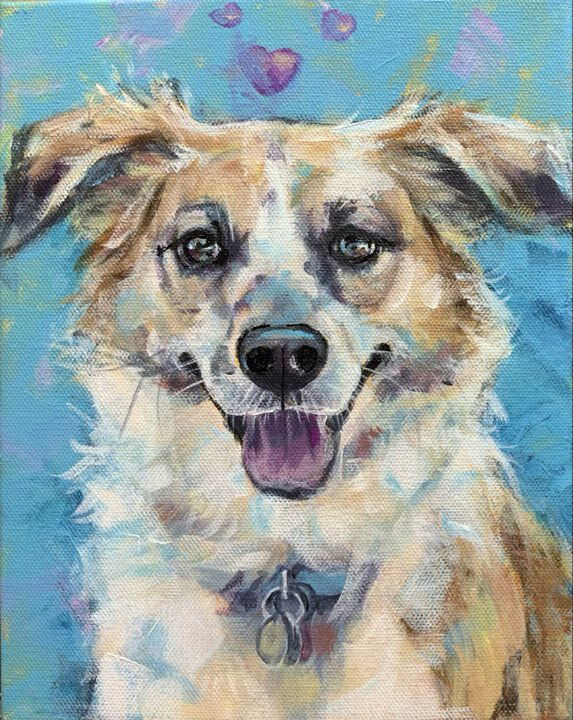 Dogs, cats and other precious animals