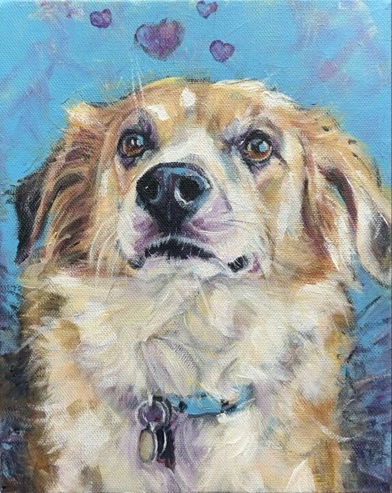 Dogs, cats and other precious animals