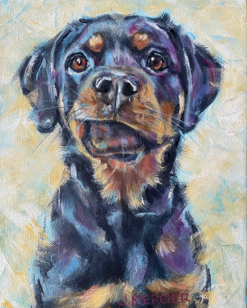 Dogs, cats and other precious animals