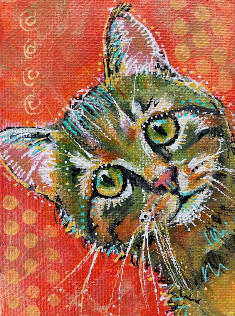 Dogs, cats and other precious animals