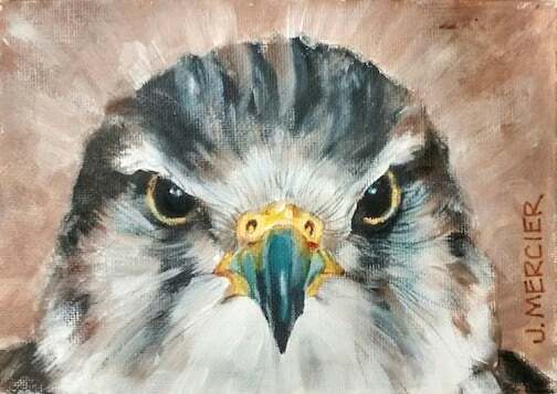 Dogs, cats and other precious animals