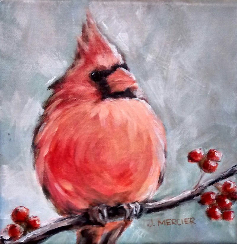 Dogs, cats and other precious animals