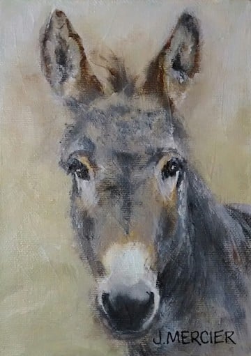 Dogs, cats and other precious animals