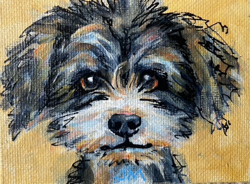 Dogs, cats and other precious animals