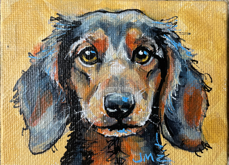 Dogs, cats and other precious animals