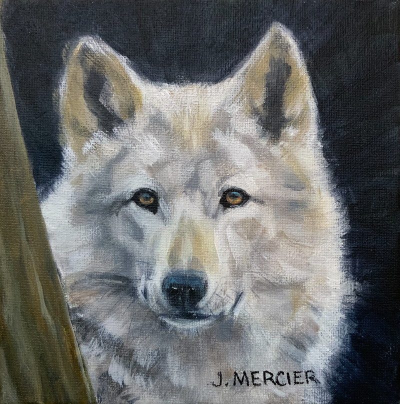 Dogs, cats and other precious animals