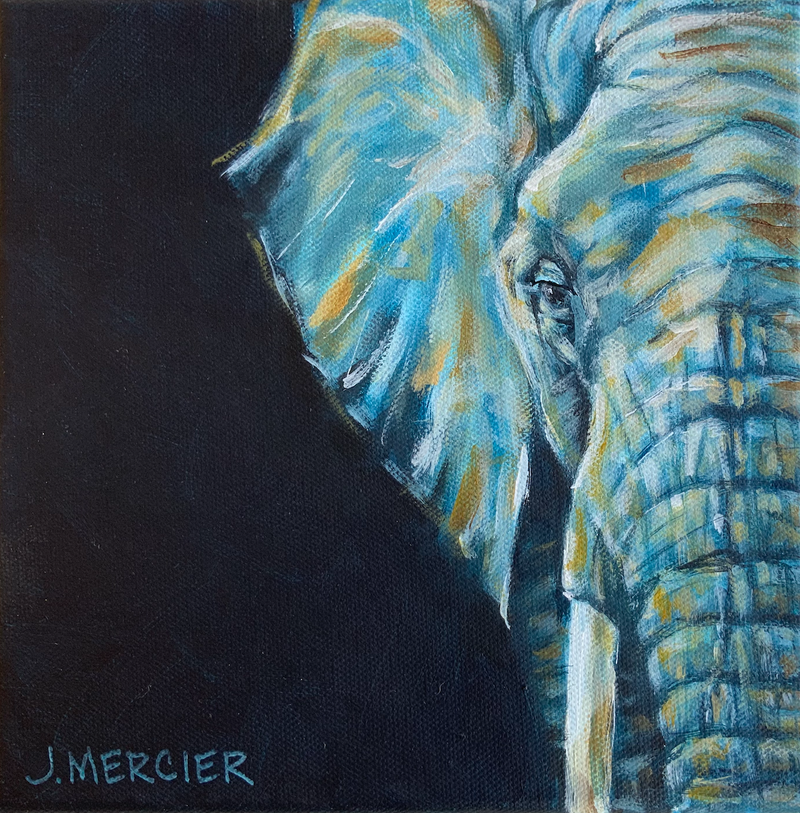 Dogs, cats and other precious animals